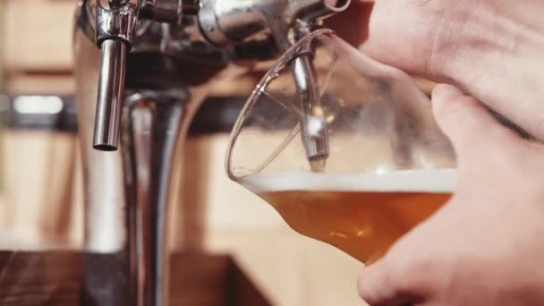 Барменские руки наливают пинту пива — стоковое видео