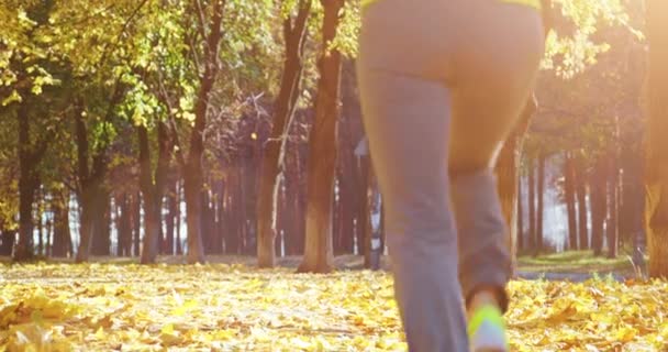 Modello di fitness femminile jogging — Video Stock