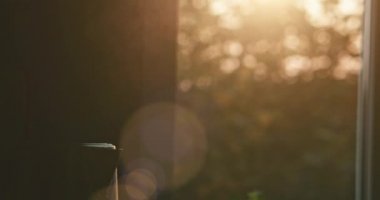 Buharlı elektrikli çaydanlık