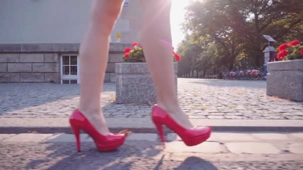 Sexy woman legs in red shoes — Stock Video