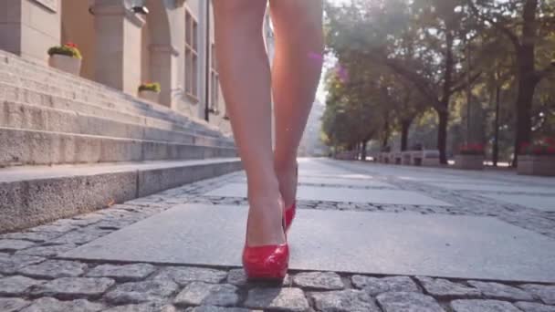 Attractive business woman drinking coffee — Stock Video