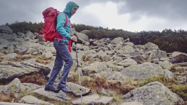Wanderin mit Rucksack unterwegs — Stockvideo
