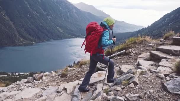 Wanderin mit Rucksack unterwegs — Stockvideo