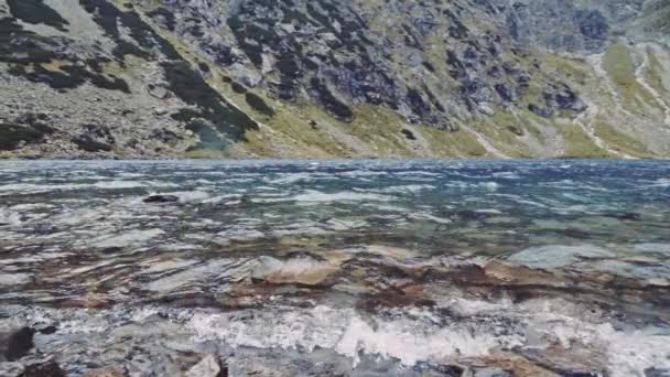 Göl kıyısına uçan kamera — Stok video