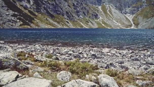 Cámara volando a orilla del lago — Vídeos de Stock