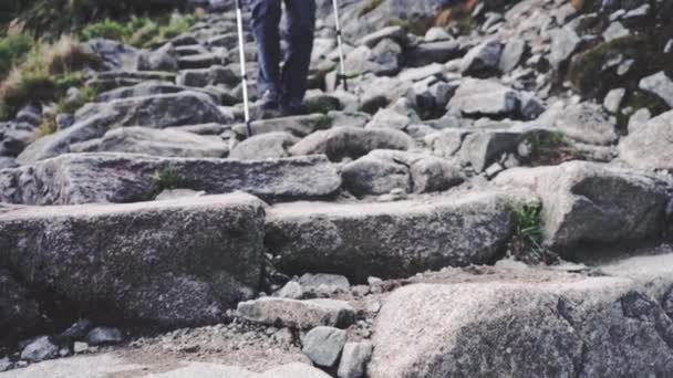 Senderismo de mujer con mochila en caminata — Vídeo de stock