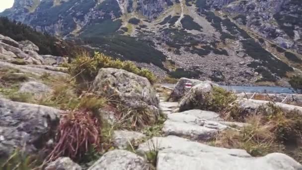 Cámara volando sobre el borde del acantilado — Vídeos de Stock