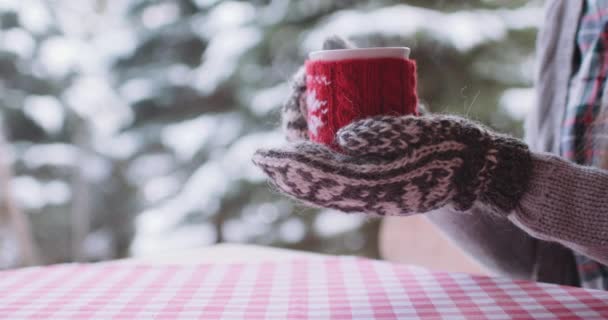 Genç kadın sıcak çay içer — Stok video