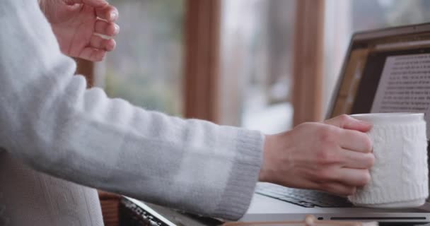 Frau arbeitet am Computer — Stockvideo