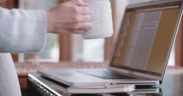 Vrouw werkt op de computer — Stockvideo