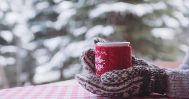 Mani femminili che tengono una tazza di tè in inverno — Video Stock