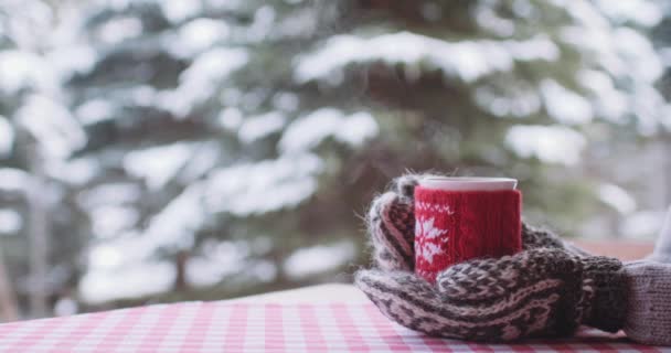 Női kéz fogta a csésze tea a téli — Stock videók