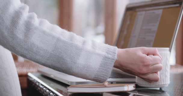 Vrouw werkt op de computer — Stockvideo