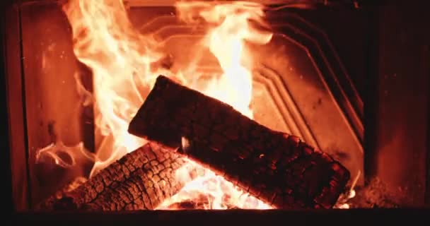 Cozy burning fire — Stock Video