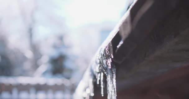 Hielo de fusión de primavera en el techo — Vídeos de Stock