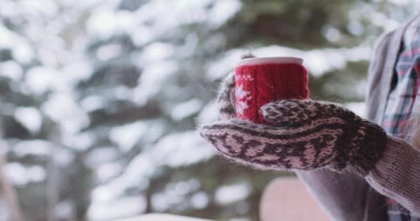 Young woman drinks hot tea — Stock Video