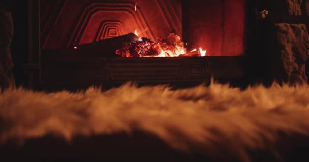 Mysiga brinnande eld — Stockvideo