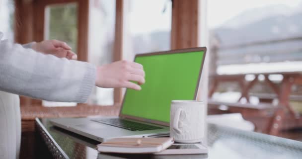 Unrecognizable woman working on laptop — Stock Video