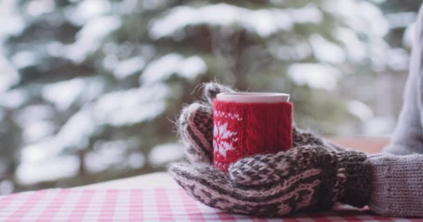 Mãos femininas segurando xícara de chá no inverno — Vídeo de Stock