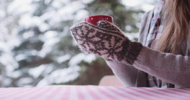 Young woman drinks hot tea — Stock Video