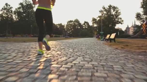Žena běžec běží v parku — Stock video