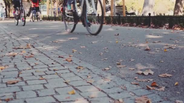 Steadicam shot skupiny cyklistů — Stock video