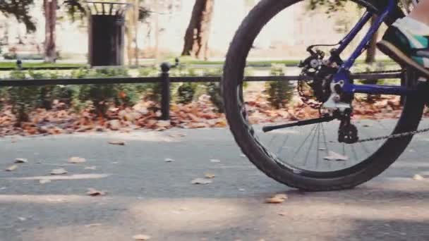Steadicam shot van de groep van fietsers — Stockvideo