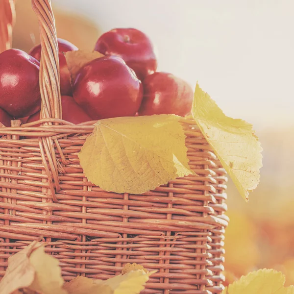 Full basket of red juicy apples — Stock Photo, Image