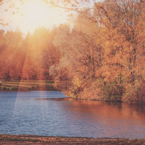 Lago no parque de outono — Fotografia de Stock