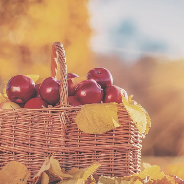 Full basket of red juicy apples — Stock Photo, Image