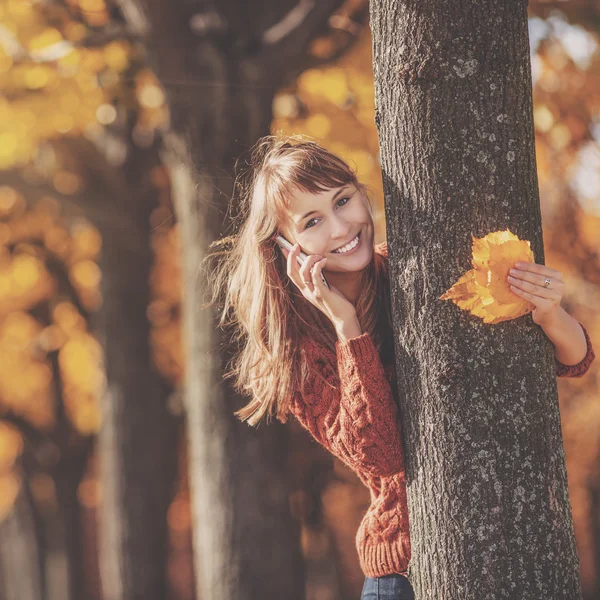 Frau mit Handy im Herbstpark lizenzfreie Stockfotos