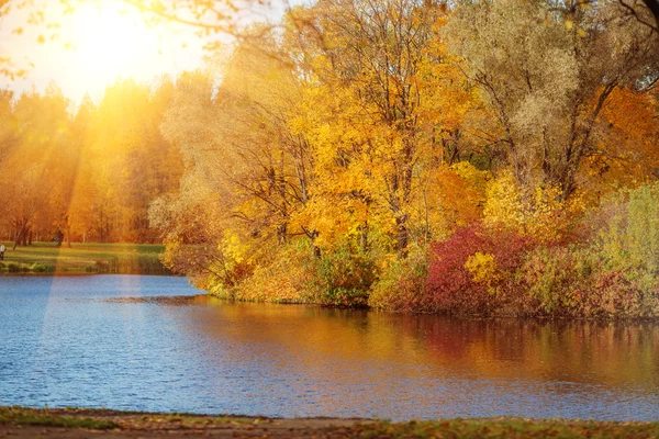 Podzimní park u jezera. — Stock fotografie