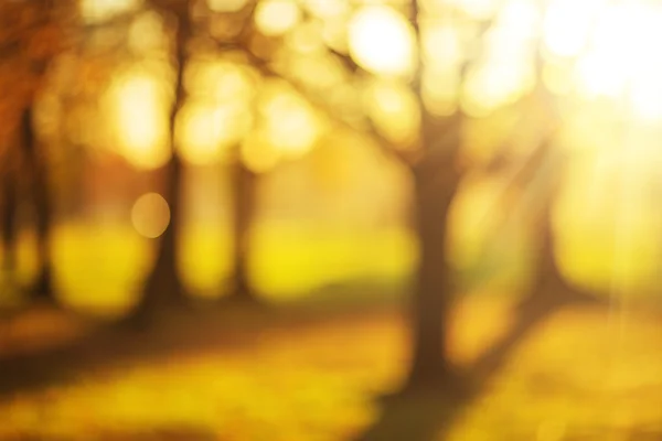 Bokeh autumn park background. — Stock Photo, Image