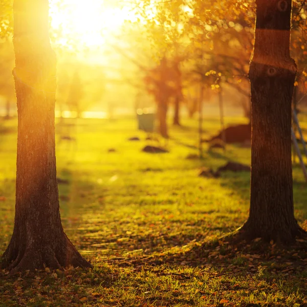 Malerischer Herbstpark — Stockfoto