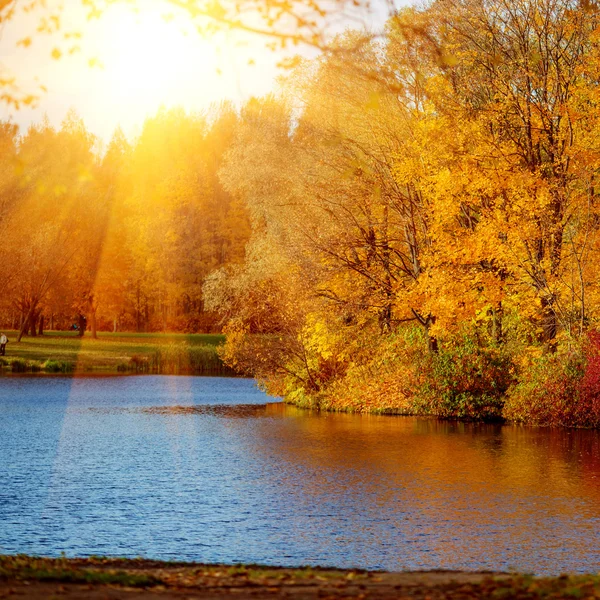 Herfstpark aan het meer. — Stockfoto