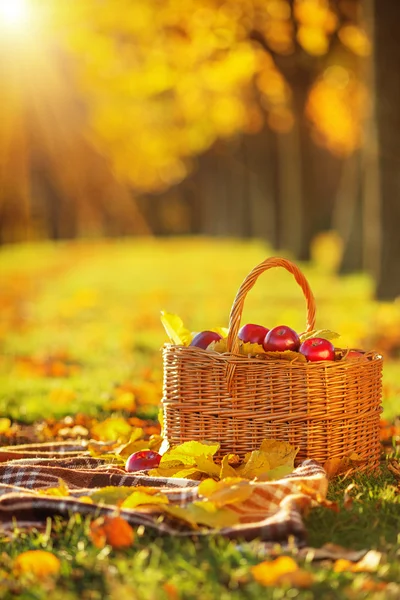 Mandje van rode appels met gele bladeren — Stockfoto