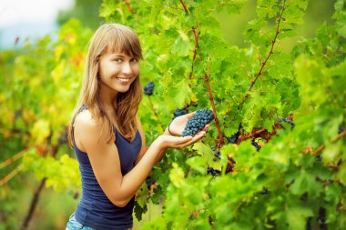 Üzüm demet asma üzerinde tutan kadın