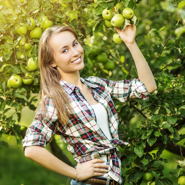 Woman in apple tree garden