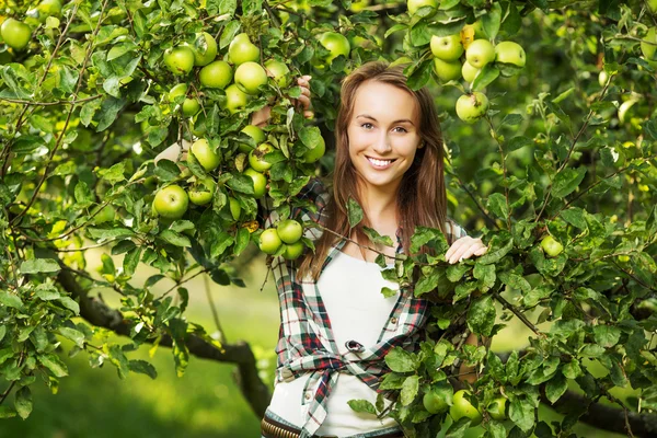 Donna nel giardino di melo — Foto Stock