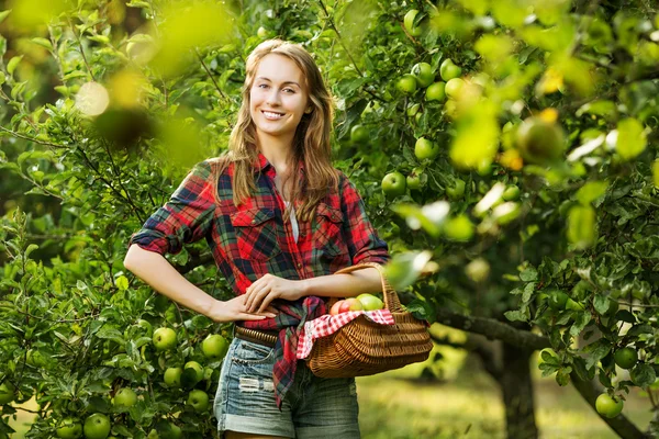 Frau mit Korb voller Äpfel im Garten. — Stockfoto