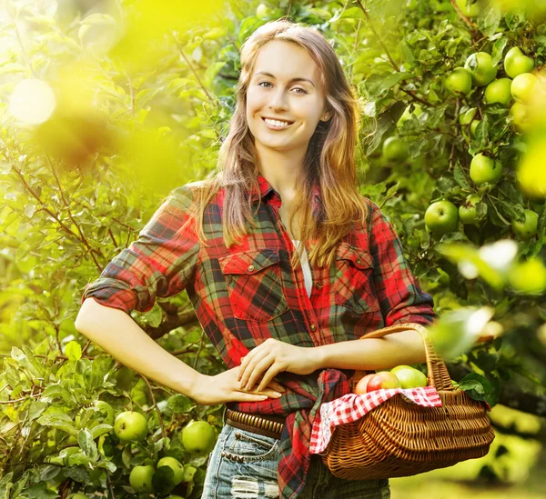 Woman with basket of apples in a garden. — Stock Photo, Image