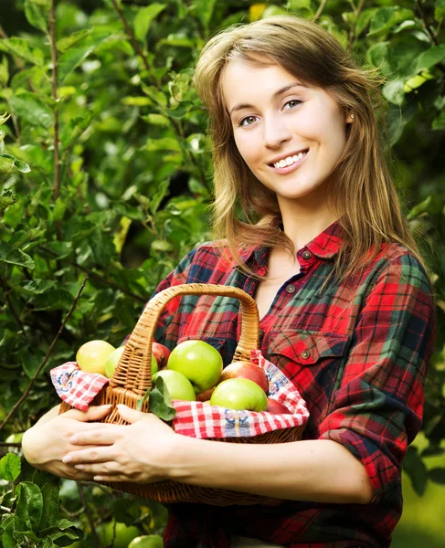 Donna con cesto di mele in un giardino . — Foto Stock