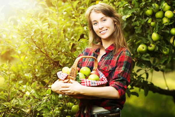 Mujer con cesta de manzanas en un jardín . — Foto de Stock