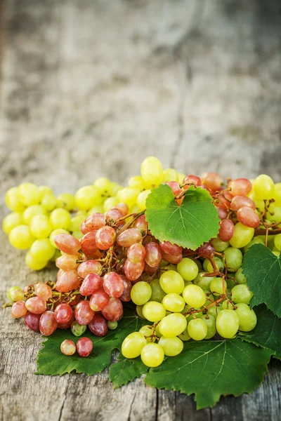 Ripe grapes on a wooden table — Stock Photo, Image