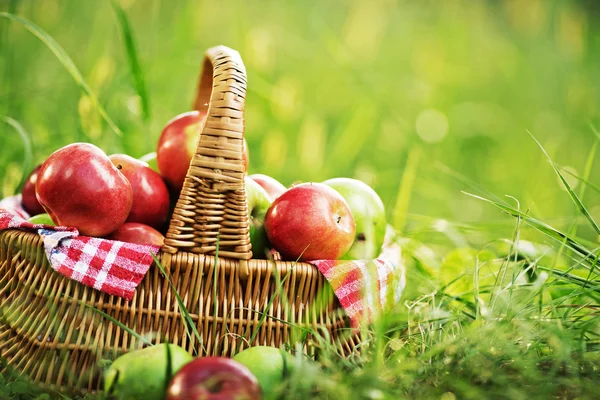 Bohaté na organické jablka v košíku — Stock fotografie