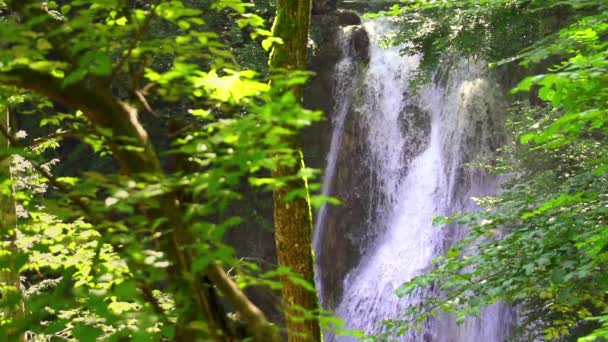 Schöner Wasserfall in den Bergen — Stockvideo