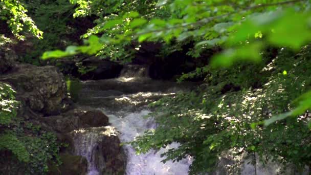 Beautiful Waterfall in Mountains — Stock Video