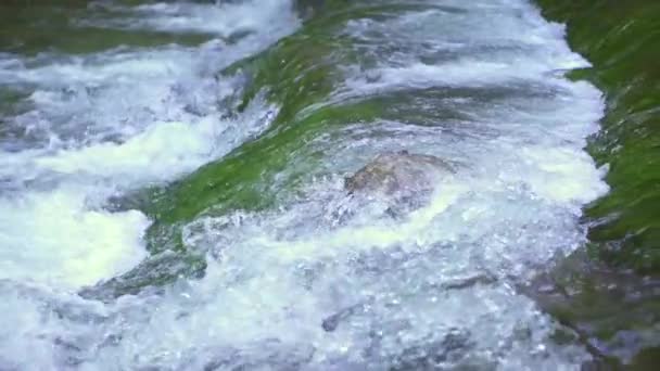 Красивый водопад в горах — стоковое видео