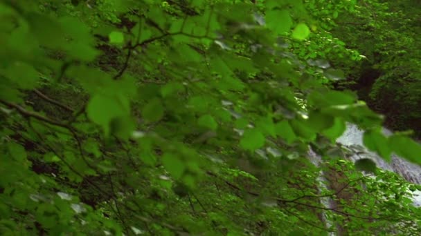 Hermosa cascada en las montañas — Vídeo de stock