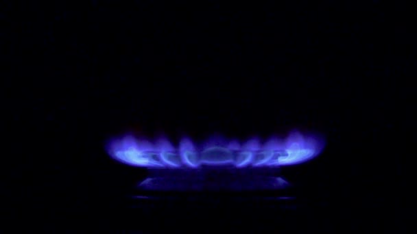 Gas from kitchen gas stove — Stock Video